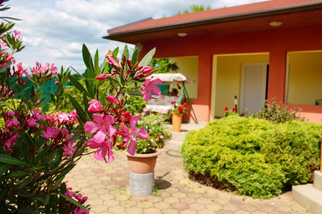Bed and Breakfast Anna Panzio à Egerszalók Extérieur photo